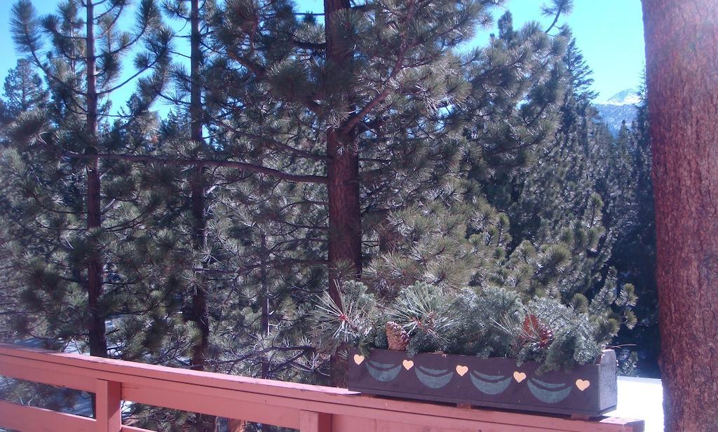 Innsbruck Lodge Mammoth Lakes Bagian luar foto
