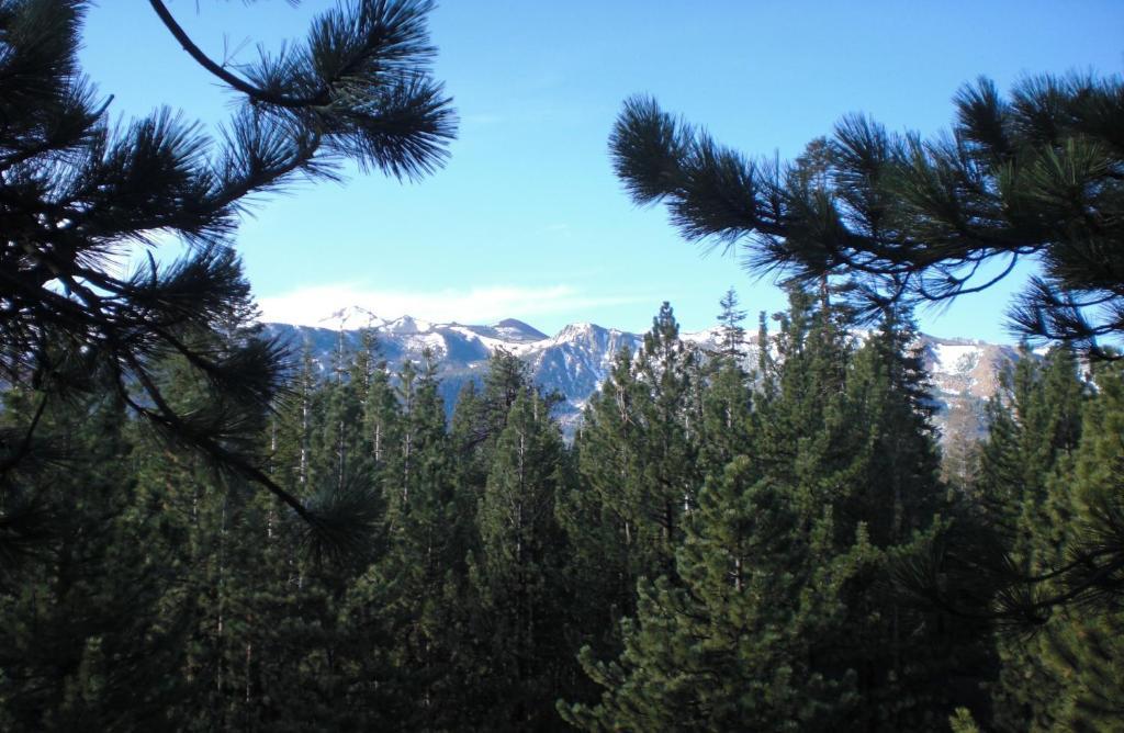 Innsbruck Lodge Mammoth Lakes Ruang foto
