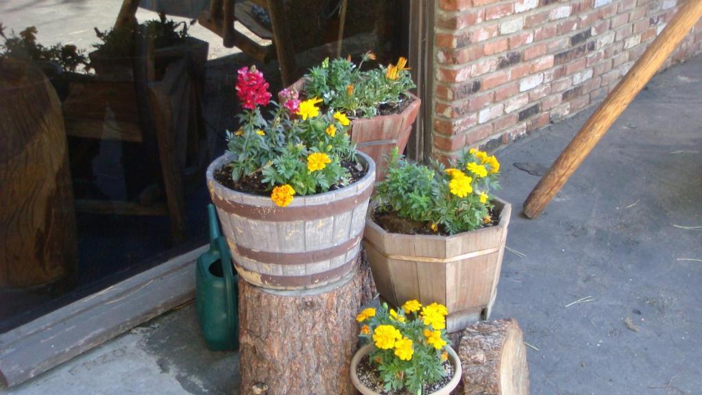 Innsbruck Lodge Mammoth Lakes Bagian luar foto